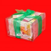 PIG-5005-8.5X8.5X5.5 PIG-5005-8.5X8.5X5.5