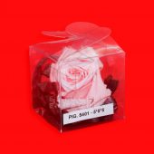 PIG-5401-5X5X5 PIG-5401-5X5X5