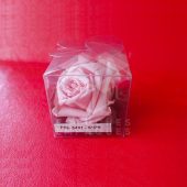 EST PIG 5401 - 5X5X5 (3) EST PIG 5401 - 5X5X5 (3)