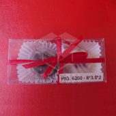 EST PIG 6200 B+T 8X3.5X2 (4) EST PIG 6200 B+T 8X3.5X2 (4)