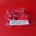 CUNA-CUAD-4-CAV-RED-EST-CUAD-7X7-4-copia-1024x1024-120x120