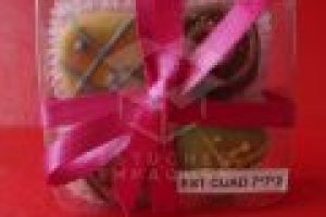 EST-CUAD-7X7X2-B-1024x1024-120x120 EST-CUAD-7X7X2-B-1024x1024-120x120