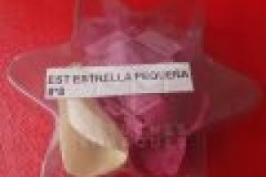 EST-ESTRELLA-PEQ-8X8-1024x1024-120x120 EST-ESTRELLA-PEQ-8X8-1024x1024-120x120
