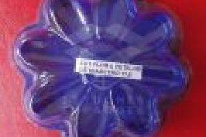 EST-FLOR-8-PET-DIAM-11.5-1024x1024-120x120 EST-FLOR-8-PET-DIAM-11.5-1024x1024-120x120