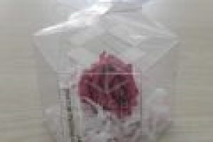 EST-PINGUINO-MED-5X5X7-3-1024x1024-120x120 EST-PINGUINO-MED-5X5X7-3-1024x1024-120x120