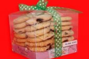 PIG-5526-10X10X8-1024x1024-170x170