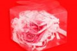 PIG-5601-7.5X7-1024x1024-120x120