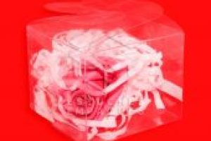 PIG-5601-7.5X7-1024x1024-170x170