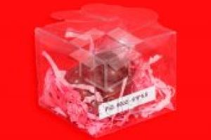 PIG-6002-6X6X5-1024x1024-170x170